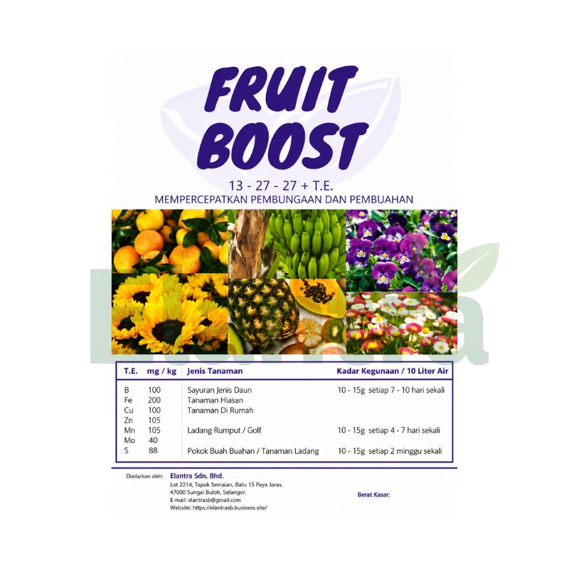 FRUIT BOOST
